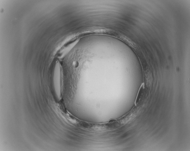 X0000061740350200512302217