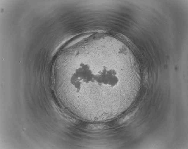 X0000061740351200512302217