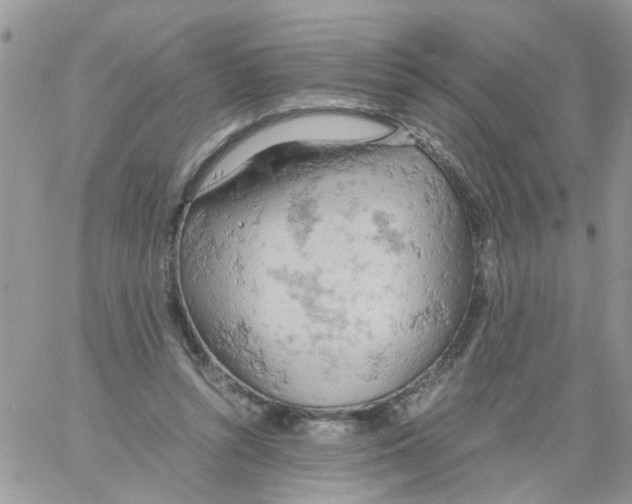 X0000061740352200512302217