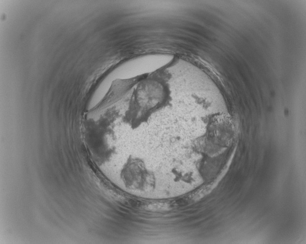 X0000061740353200512302217