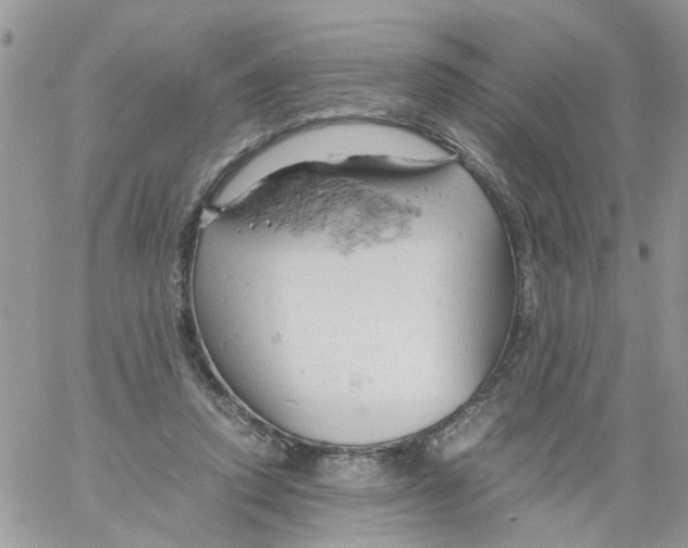 X0000061740354200512302217