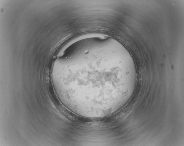 X0000061740356200512302217