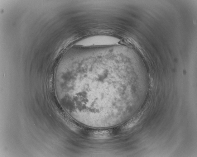 X0000061740357200512302217