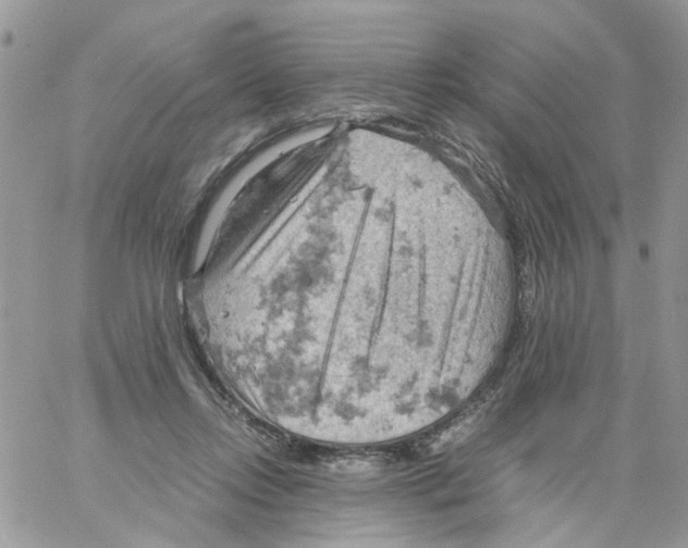 X0000061740358200512302217