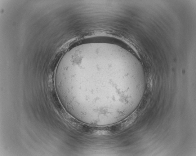 X0000061740360200512302217