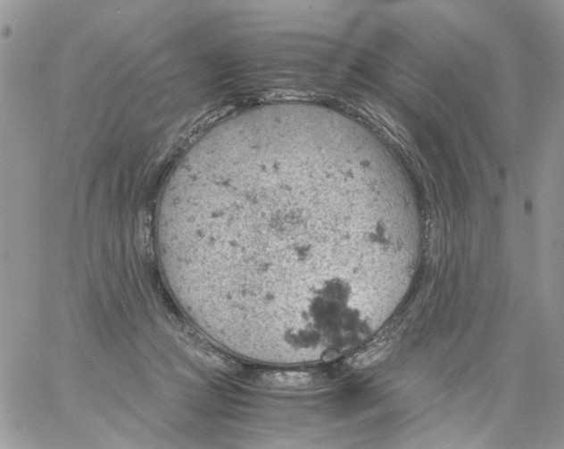 X0000061740361200512302217