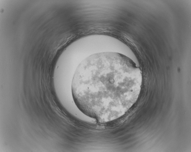 X0000061740362200512302217