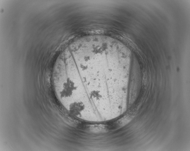 X0000061740363200512302217