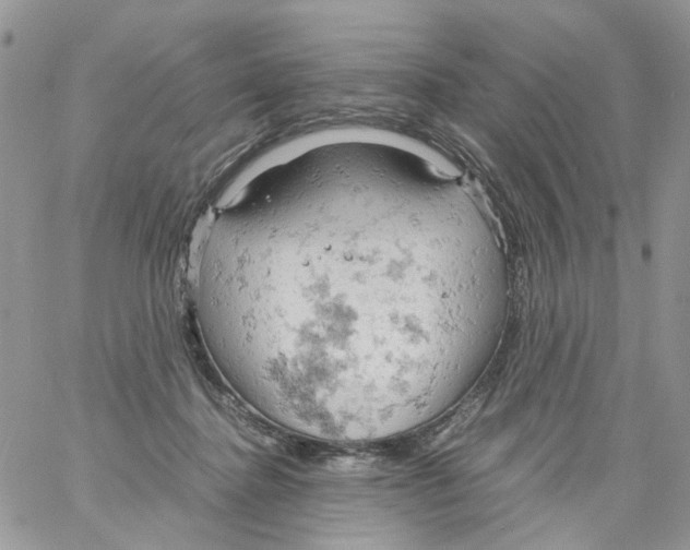 X0000061740364200512302217