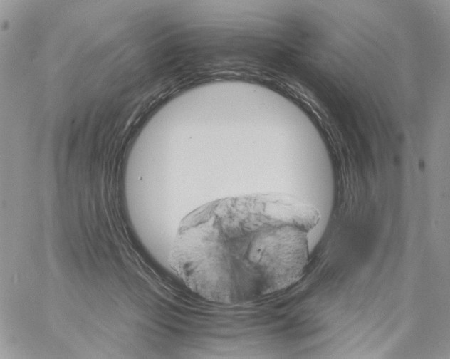 X0000061740365200512302218