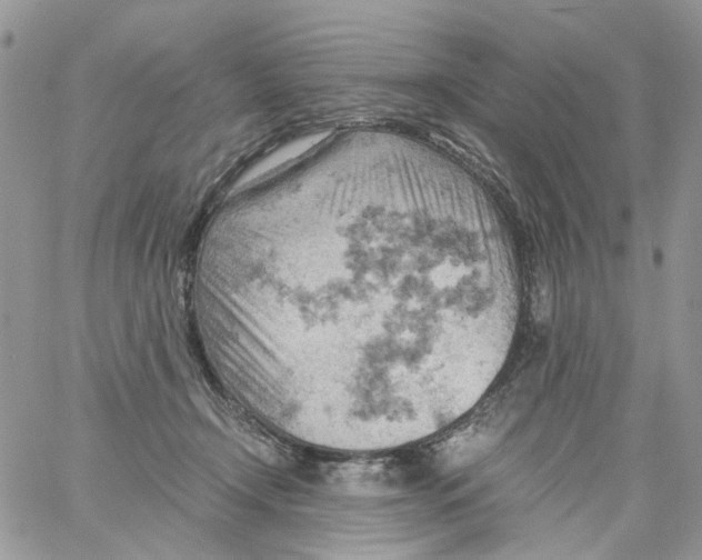 X0000061740366200512302218