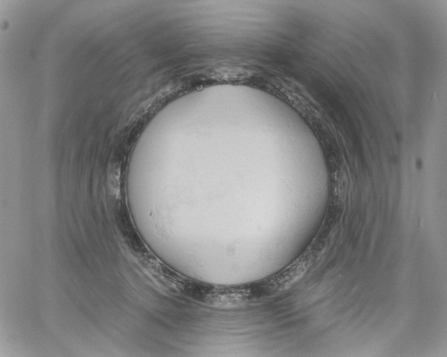 X0000061740368200512302218