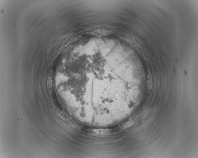 X0000061740371200512302218