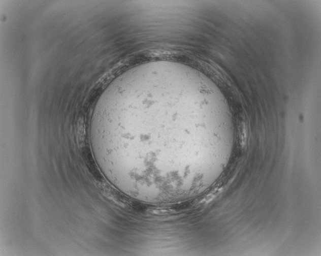 X0000061740372200512302218