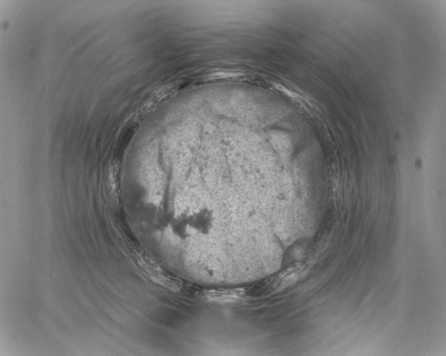 X0000061740373200512302218