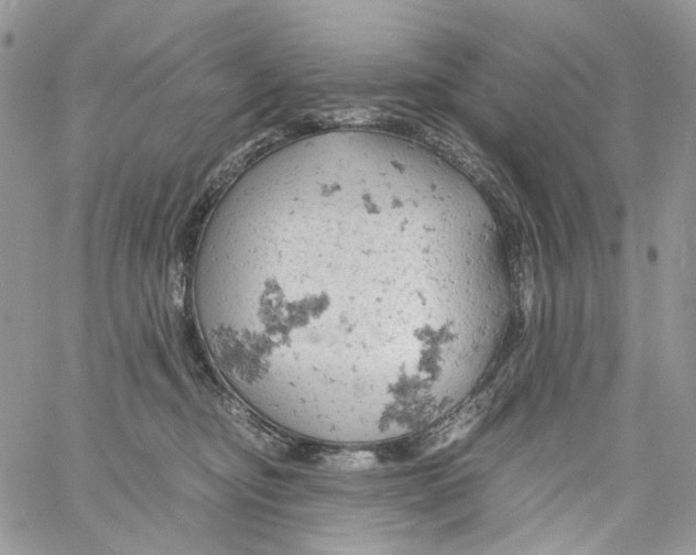 X0000061740374200512302218