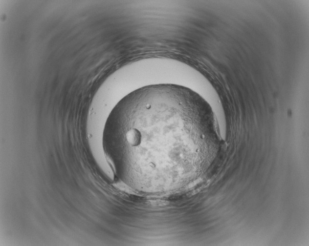 X0000061740376200512302218