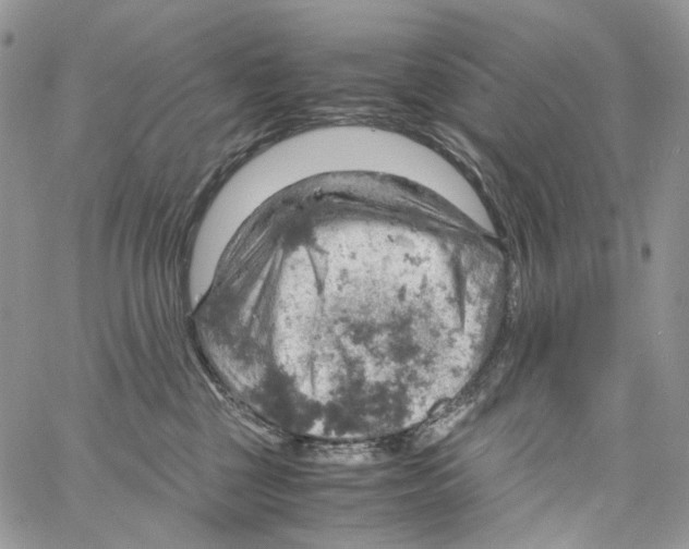 X0000061740377200512302218