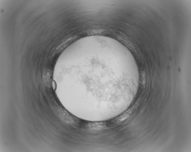 X0000061740378200512302218