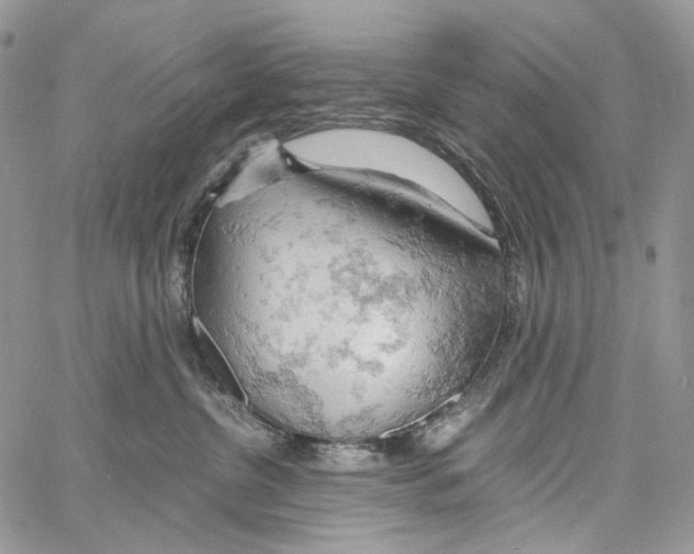 X0000061740380200512302218