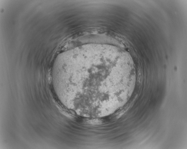 X0000061740383200512302218