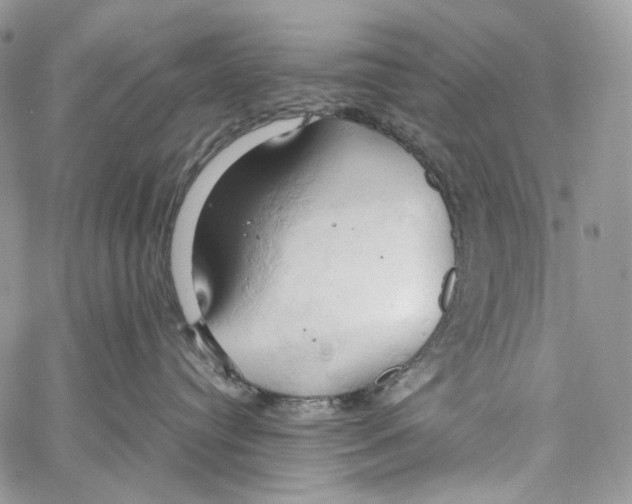 X0000061740384200512302218