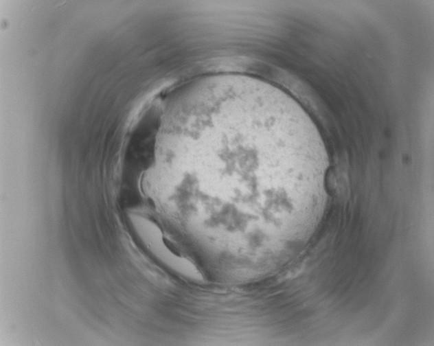 X0000061740386200512302217