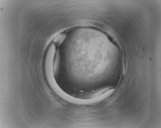 X0000061740387200512302217