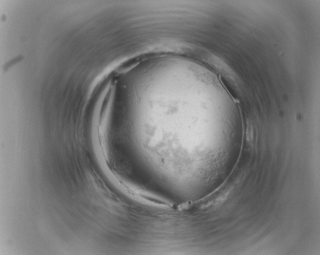 X0000061740388200512302217