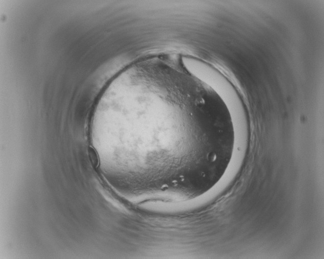 X0000061740389200512302217