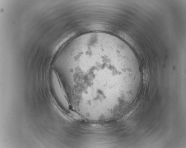 X0000061740390200512302217