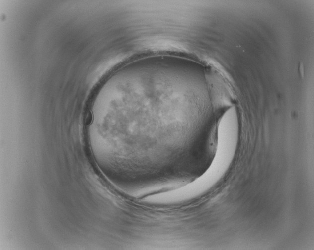 X0000061740391200512302217