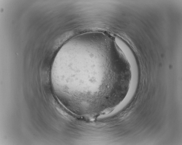 X0000061740393200512302217