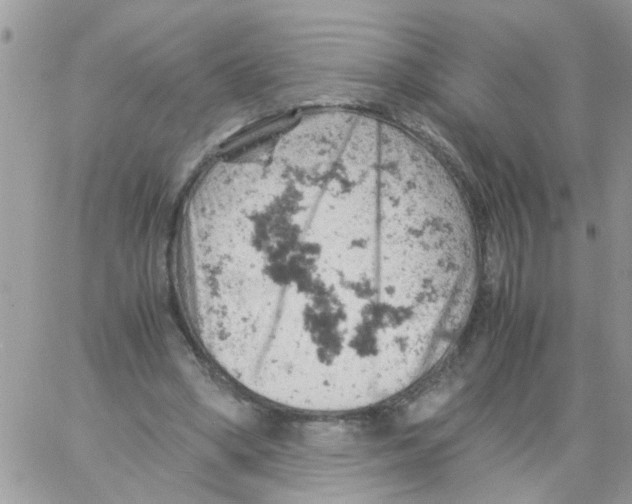 X0000061740394200512302217