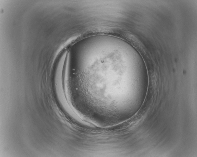 X0000061740395200512302217