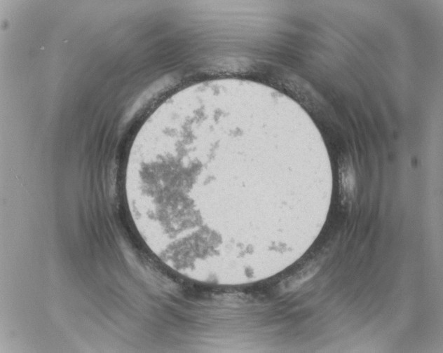 X0000061740396200512302217