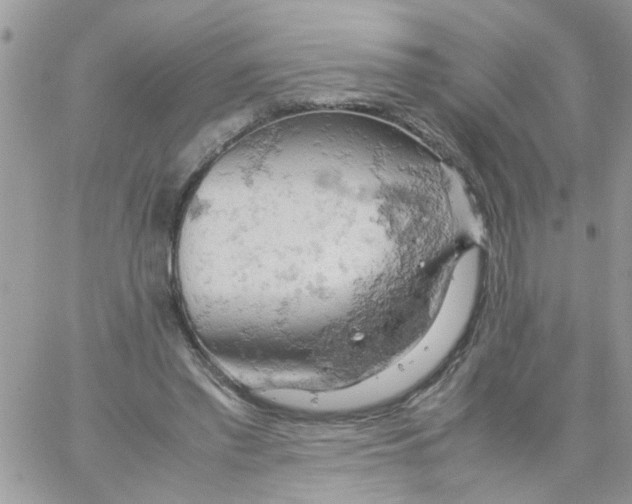 X0000061740397200512302217