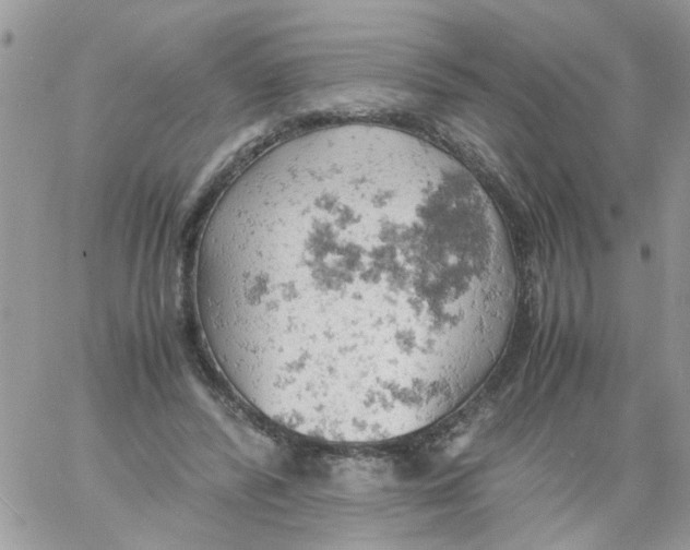 X0000061740400200512302217