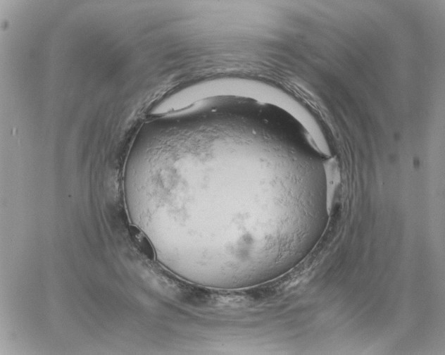 X0000061740401200512302217