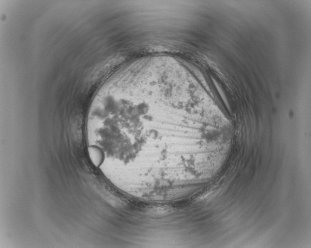 X0000061740402200512302217