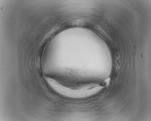 X0000061740403200512302217