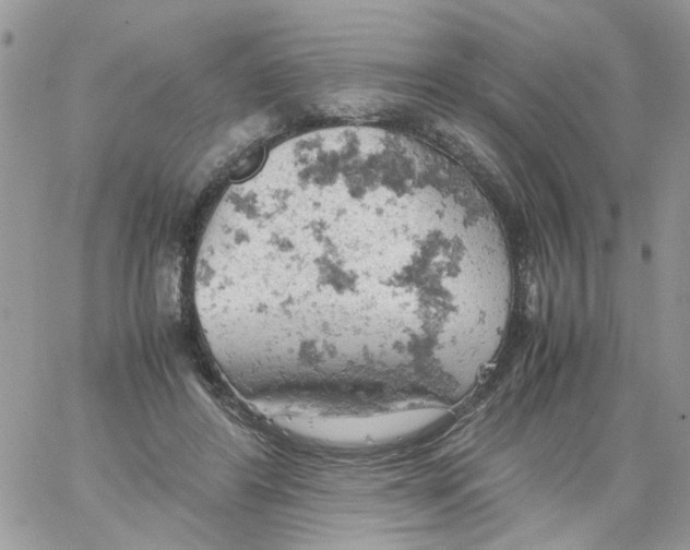 X0000061740404200512302217