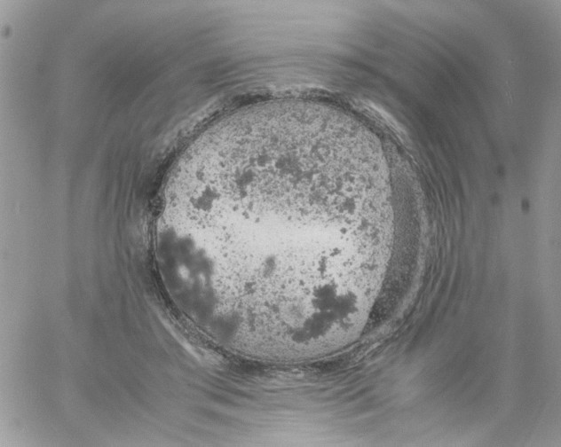 X0000061740405200512302217