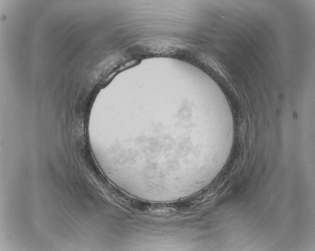 X0000061740407200512302217