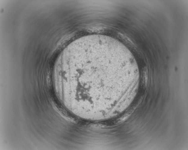 X0000061740408200512302217