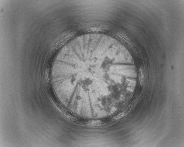 X0000061740410200512302217