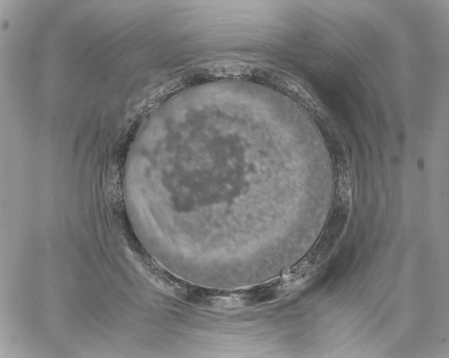 X0000061740411200512302217