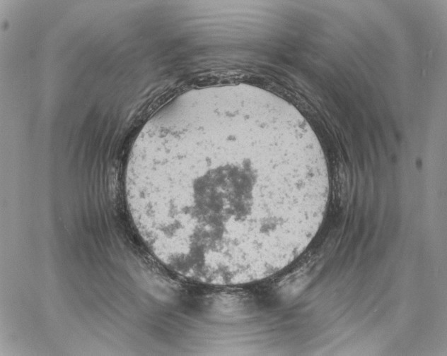 X0000061740412200512302217