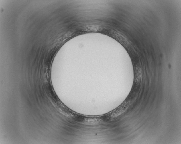 X0000061740414200512302217