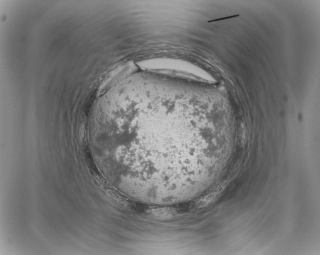 X0000061740417200512302216